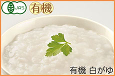 有機 白がゆ